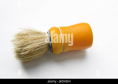 Blaireau orange isolated on white Banque D'Images