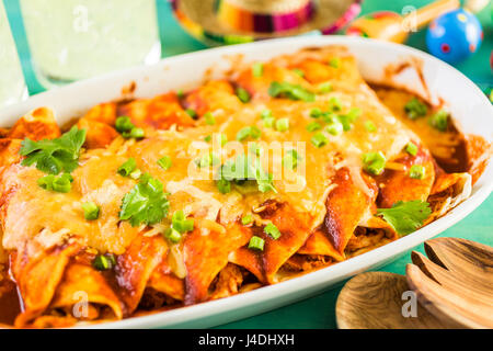 Close up of chicken enchiladas maison garnie d'oignon vert et la coriandre. Banque D'Images