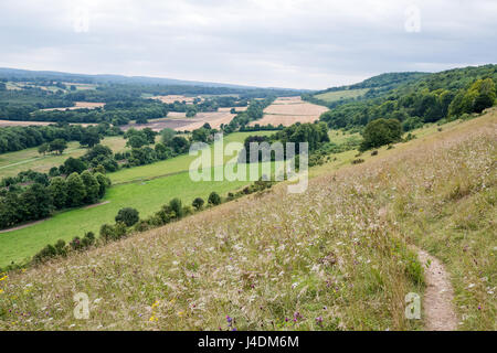 Vue sur les terres agricoles et sur la campagne du Surrey North Downs de la colline Denbies, nr Dorking, Surrey, Angleterre Banque D'Images