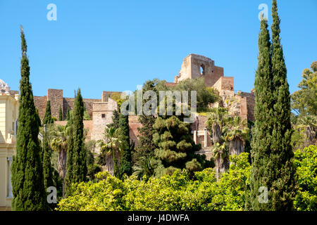 En regardant à travers les arbres du Jardins de Pedro Luis Alonso à l'Alcazaba de Malaga Banque D'Images