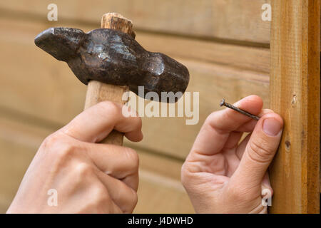 Clouseup des mains de marteau clou dans planche en bois Banque D'Images