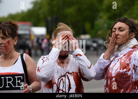 Manifestation pour les droits des animaux en cours à Londres contre la corrida et toutes les formes de cruauté contre les animaux. Les manifestants de faux sang éclaboussé Banque D'Images