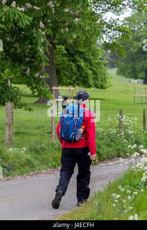 Wellingborough, Northamptonshire, U.K. 13h Mai 2017. La 38ème marche internationale de Waendel. Un peu plus de mi-chemin sur les 42 km à pied. Credit : Keith J Smith./Alamy Live News Banque D'Images