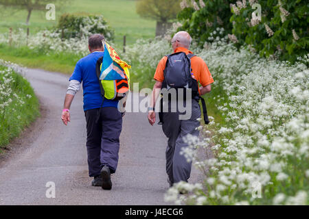 Wellingborough, Northamptonshire, U.K. 13h Mai 2017. La 38ème marche internationale de Waendel. Un peu plus de mi-chemin sur les 42 km à pied. Un participant de l'Ecosse, (T-shirt bleu). Credit : Keith J Smith./Alamy Live News Banque D'Images