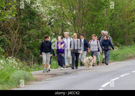 Wellingborough, Northamptonshire, U.K. 13h Mai 2017. La 38ème marche internationale de Waendel. Un peu plus de mi-chemin sur les 42 km à pied. Credit : Keith J Smith./Alamy Live News Banque D'Images