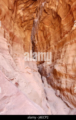 Image takein à Petra, Jordanie, l'année 2013. Banque D'Images