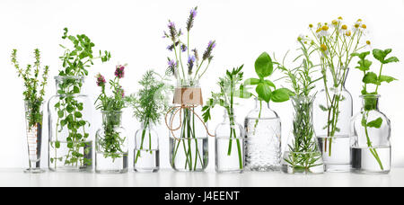 Bouteille d'huile essentielle avec des herbes sur fond blanc Banque D'Images