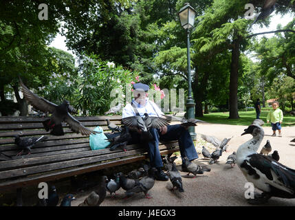 Un Portugais nourrir les pigeons dans le parc Jardim da Estrela à Lisbonne. Banque D'Images