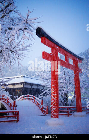 Blue Hour en sanctuaire Shimogamo-jinja, l'UNESCO, au cours de la plus importante chute de neige sur Kyoto depuis 50 ans, Kyoto, Japon Banque D'Images