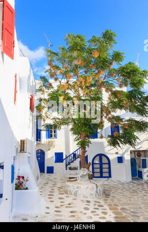 Carré avec arbre en fleurs, les bâtiments blanchis à la chaux, ciel bleu, la ville de Mykonos, Mykonos, Cyclades, îles grecques, Grèce, Europe Banque D'Images