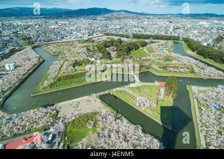 Fort en forme d'étoile dans le Goryokaku cherry blossom, Hakodate, Hokkaido, Japon, Asie Banque D'Images