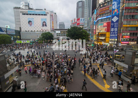Croisement de Shibuya, le passage à niveau du chemin le plus fréquenté du monde, Tokyo, Japon, Asie Banque D'Images
