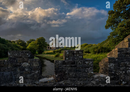 Abbaye de Tintern, comté de Wexford, Leinster, République d'Irlande, Europe Banque D'Images