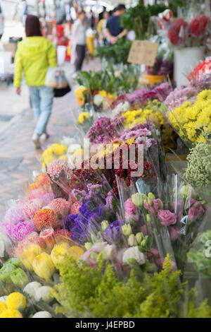 Marché aux Fleurs, Mongkok, Kowloon, Hong Kong, Chine, Asie Banque D'Images