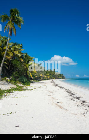 Les eaux turquoise et plage de sable blanc, Ouvéa, Îles Loyauté, Nouvelle-Calédonie, Pacifique Banque D'Images