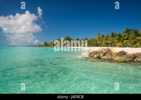 Belle plage de sable blanc bordée de cocotiers dans les eaux turquoises de Tikehau, Tuamotu, Polynésie Française, Pacifique Banque D'Images