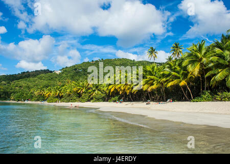 Brewers Bay, Tortola, Îles Vierges britanniques, Antilles, Caraïbes, Amérique Centrale Banque D'Images