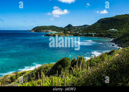 Vue sur la côte de St Barth (Saint Barthelemy), Petites Antilles, Antilles, Caraïbes, Amérique Centrale Banque D'Images