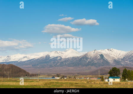 Les terres agricoles au-dessous de la montagne du Parc National de Daisetsuzan, UNESCO World Heritage Site, Furano, Hokkaido, Japon, Asie Banque D'Images