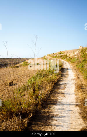 Chemin de terre serpentant à travers champs dans la campagne autour de Wied il-Mielah. Gozo, Malte, Victoria. Banque D'Images