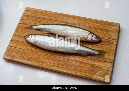 L'éperlan frais poissons sur fond blanc pour l'alimentation Banque D'Images