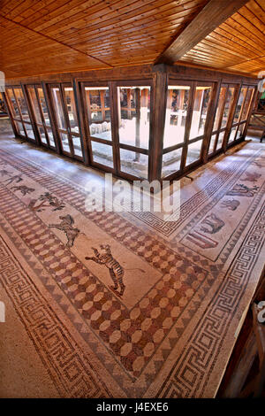 À l'intérieur de la "Maison de Dionysos", plein de superbes sols en mosaïque romaine (parmi eux certains des scènes de chasse) dans le Archaeoological Park de Paphos, Chypre. Banque D'Images