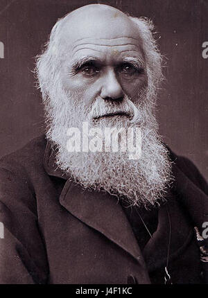 Cette photographie de Charles Darwin, prise par Herbert Rose Barraud en 1881, montre le naturaliste renommé plus tard dans la vie. Il fournit une image historique de Darwin, connu pour ses travaux révolutionnaires sur l'évolution et la sélection naturelle. Banque D'Images