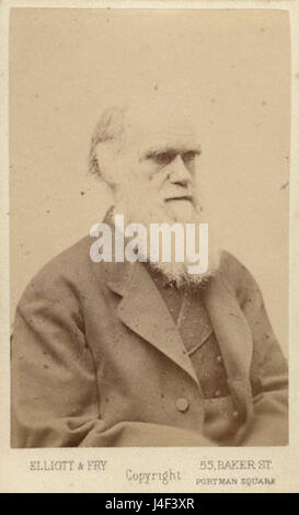 Cette photographie de Charles Darwin, prise par Elliott et Fry à la fin des années 1870, capture le naturaliste britannique de renom, qui a révolutionné la pensée scientifique avec sa théorie de l’évolution par sélection naturelle. Banque D'Images