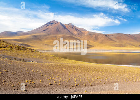 Lagune Miniques et le Volcan - désert d'Atacama, Chili Banque D'Images