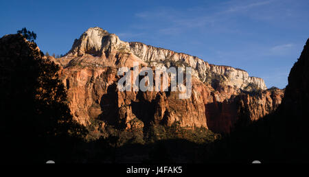 La lumière de l'après-midi hits Haute Montagne Zion National Park Banque D'Images