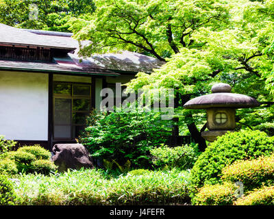 Jardin Jardin Koishikawa Kōrakuen Banque D'Images