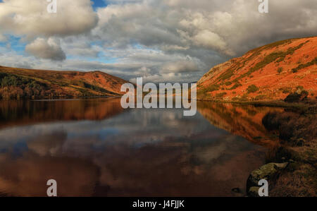 Le Lough Dan, Luggala, Co. Wicklow, Irlande Banque D'Images