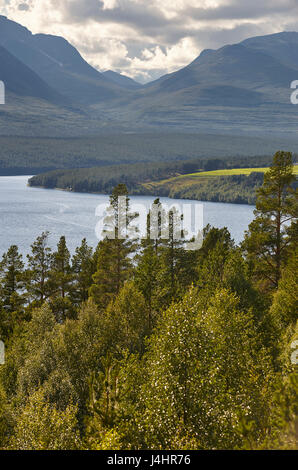 Parc national de Rondane. Vert forêt et lac rivière paysage. La Norvège. La verticale Banque D'Images