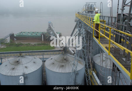 Montres un travailleur lorsqu'il est chargé de soja dans une barge sur la base consolidée et de Grain Terminal Riverside, 10 mai 2017 à Cincinnati, Ohio. Les fermes au soja dans le midwest des États-Unis sont livrés à l'aérogare par camion, inspectés, l'achat, puis chargé sur des barges pour le voyage sur le fleuve Mississippi à la Nouvelle Orléans et de clients d'outre-mer. Banque D'Images