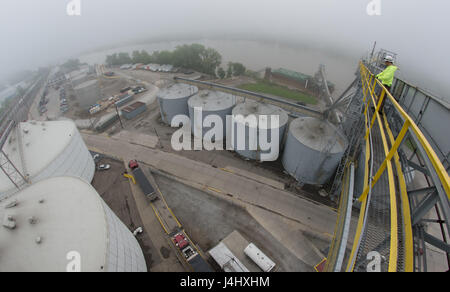 Montres un travailleur lorsqu'il est chargé de soja dans une barge sur la base consolidée et de Grain Terminal Riverside, 10 mai 2017 à Cincinnati, Ohio. Les fermes au soja dans le midwest des États-Unis sont livrés à l'aérogare par camion, inspectés, l'achat, puis chargé sur des barges pour le voyage sur le fleuve Mississippi à la Nouvelle Orléans et de clients d'outre-mer. Banque D'Images