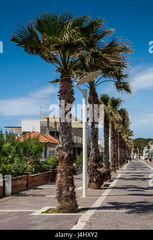 MARINA di Cecina, ITALIE - 07 mai, 2017 : Largo Cairoli pendant la Festival du cerf-volant et les fleurs Banque D'Images