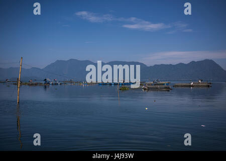 Vue sur une ferme au bord du lac Maninjau depuis, Sumatra, Indonésie. Banque D'Images