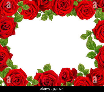 Image de roses.roses rouges sur fond blanc.background abstract faite de roses. Banque D'Images