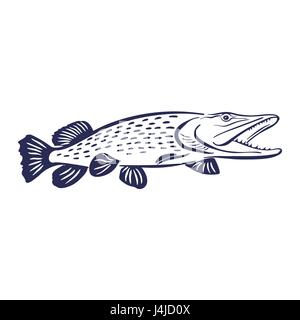 Illustration de poisson brochet Illustration de Vecteur