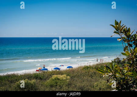 Plage de sable blanc au bord de mer, en Floride, sur le golfe du Mexique, sur la côte du golfe de Floride, près de destin Florida, USA. Banque D'Images