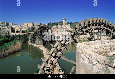 La Syrie, Hama, ville, vue, de l'Oronte, Wasserschöpfräder "Norias" d'Asie, du Proche-Orient, du Moyen-Orient, de l'Est, l'oasis, la ville, le paysage urbain, Wasserschöpfrad, Noria, rivière, endroit d'intérêt Banque D'Images