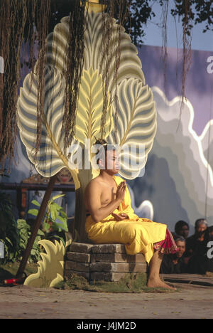 L'Indonésie, île de Java, Borobudur temple, montrant, l'homme, de la vie de représentation Bouddhas, le modèle ne libération ! L'Asie, l'Südostansien, Etat insulaire, Bahasa Indonesia, archipel malais, big Sundainseln, Jawa, Djawa, du Java, de culte, le temple le plus important de l'accessoire Mahajana Bouddhisme, patrimoine culturel mondial de l'UNESCO, la culture, la religion, la foi, moine, acteur, prière, cérémonie, dévotion, jouer, jouer, la vie, biographie fondateur religieux Siddharta Gautama, décor, set, arbre de Bodhi, méditation, spectateur Banque D'Images