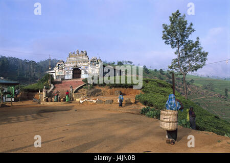 Sri Lanka, pays montagneux, Nuwara Eliya, plantation de thé, chambre de plantation, Teepflückerinnen l'Asie du Sud, île, île de l'état, province, Central hill country, pays montagneux d'Uva, paysage, économie, plantations, champs, un paysage de champ, champ de thé, thé des champs, plantation de thé, d'inclinaison, hill, annexe, thé, thé, thé annexe les plantes, la plantation de thé, de l'agriculture, maison, édifice, femmes, travailleurs, Pflückerinnen, récolte, récolte de thé, le modèle ne libération ! Banque D'Images