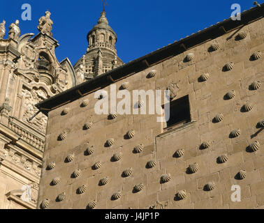 L'Espagne, Castilla y Leon, Salamanque, Casa de lire Conchas, façade, détail Castile and Leon, moule, maison, immeuble, façade de maison, de moules, de coquilles, des repères, des isabellinischer style Renaissance, représentations de secours, de coquilles, 15. 100, place d'intérêt. Banque D'Images