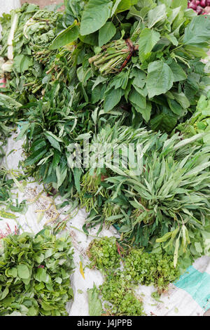 Les légumes verts et herbes mixtes pour la vente au marché, Stone Town, Zanzibar, Tanzanie. Banque D'Images