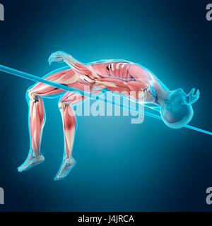 La structure musculaire de haute personne sautant, illustration. Banque D'Images