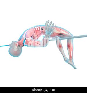 La structure musculaire de haute personne sautant, illustration. Banque D'Images