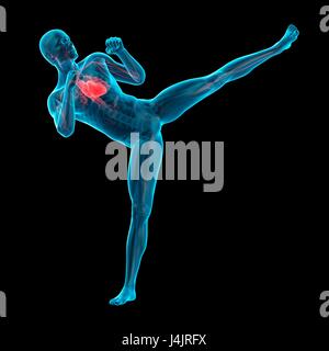 Anatomie de personne faisant high kick, illustration. Banque D'Images