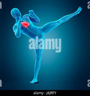 Anatomie de personne faisant high kick, illustration. Banque D'Images