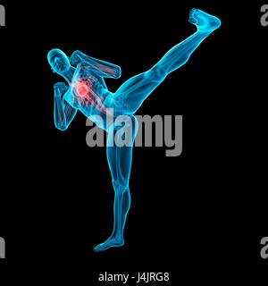 Anatomie de personne faisant high kick, illustration. Banque D'Images